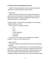 Referāts 'Lursoft IT mārketinga vides un stratēģijas analīze un darbības plānošana', 33.