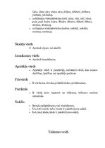 Konspekts 'Latviešu valoda', 4.