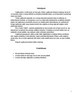 Paraugs 'Ēdināšanas uzņēmuma SVID analīze', 7.