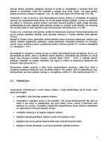 Referāts 'Velomaršruta izveide', 7.
