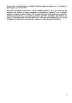 Referāts 'Velomaršruta izveide', 11.