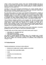 Referāts 'Velomaršruta izveide', 17.