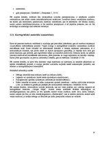 Referāts 'Velomaršruta izveide', 18.