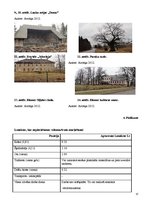 Referāts 'Velomaršruta izveide', 37.
