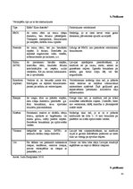 Referāts 'Velomaršruta izveide', 43.