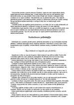 Referāts 'Pārdošanas kultūra', 3.