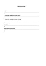 Referāts 'Robežlīguma ar Krieviju parakstīšanas process Latvijā un Igaunijā', 2.