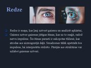 Prezentācija 'Redze. Acs uzbūve. Acu slimības', 4.