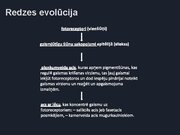 Prezentācija 'Redze. Acs uzbūve. Acu slimības', 5.