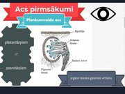 Prezentācija 'Redze. Acs uzbūve. Acu slimības', 7.