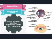 Prezentācija 'Redze. Acs uzbūve. Acu slimības', 10.