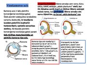 Prezentācija 'Redze. Acs uzbūve. Acu slimības', 14.