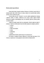 Biznesa plāns 'Salons "Skaistums"', 4.