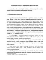 Diplomdarbs 'Organizētā noziedzība', 23.