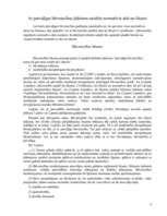 Referāts 'Patvaļīga būvniecība', 6.