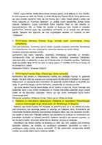 Paraugs 'Mutiskā Eksāmena atbildes', 2.