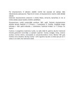 Paraugs 'Mutiskā Eksāmena atbildes', 7.