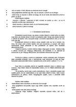 Konspekts 'Savrupmājas apstādījumu rekonstrukcijas projekts', 4.