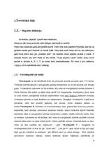 Referāts 'Hepatīts – nopietns veselības apdraudējums', 6.