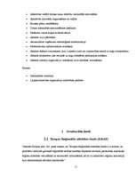 Referāts 'Eiropas Savienības strukturālie fondi', 11.