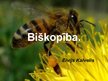 Prezentācija 'Biškopība', 1.