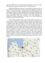 Referāts 'Rimi akciju bukletu izplatīšana', 4.