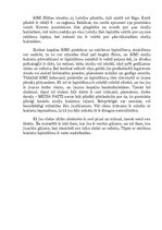 Referāts 'Rimi akciju bukletu izplatīšana', 5.