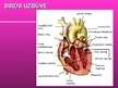 Prezentācija 'Prezentācija par sirdi un asinsrites sistēmu', 12.