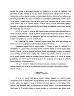 Referāts 'Padomju varas izveidošana Latvijā, tās iekārta un tiesību akti (1918.-1919.g.)', 5.