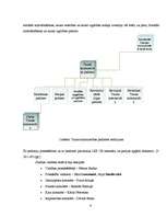 Referāts 'Padomju varas izveidošana Latvijā, tās iekārta un tiesību akti (1918.-1919.g.)', 6.