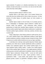 Konspekts 'Saistību tiesības - ieskaite', 7.