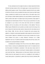 Referāts 'Importance of Hand Hygiene in Hospital Based Environment', 3.