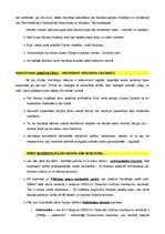 Konspekts 'Gida runa autobusā. Horvātija', 2.