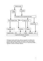 Referāts 'Ķīmiskās laika mīnas augsnē ', 18.