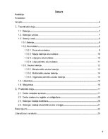 Referāts 'Baterija kā enerģijas avots', 4.