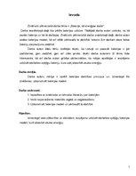 Referāts 'Baterija kā enerģijas avots', 5.