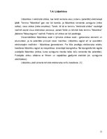 Referāts 'Baterija kā enerģijas avots', 15.
