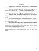 Referāts 'Baterija kā enerģijas avots', 22.