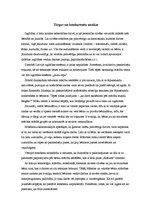 Biznesa plāns 'Bērnu mākslas un valodas attīstības centrs "Košums"', 7.