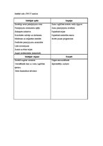 Biznesa plāns 'Bērnu mākslas un valodas attīstības centrs "Košums"', 9.