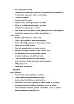 Biznesa plāns 'Bērnu mākslas un valodas attīstības centrs "Košums"', 16.