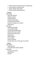 Biznesa plāns 'Bērnu mākslas un valodas attīstības centrs "Košums"', 18.