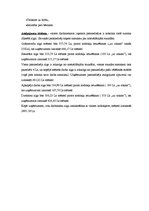 Biznesa plāns 'Bērnu mākslas un valodas attīstības centrs "Košums"', 19.