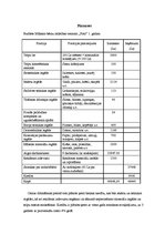 Biznesa plāns 'Bērnu mākslas un valodas attīstības centrs "Košums"', 20.