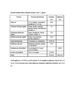 Biznesa plāns 'Bērnu mākslas un valodas attīstības centrs "Košums"', 21.