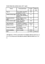 Biznesa plāns 'Bērnu mākslas un valodas attīstības centrs "Košums"', 22.