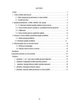 Referāts 'Potenciālās aprūpes problēmas pacientiem ar cukura diabētu', 4.