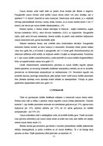 Referāts 'Potenciālās aprūpes problēmas pacientiem ar cukura diabētu', 13.