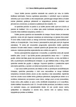 Referāts 'Potenciālās aprūpes problēmas pacientiem ar cukura diabētu', 14.