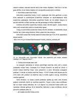 Referāts 'Trokšņa piesārņojuma ierobežošana Eiropas Savienībā', 17.